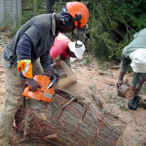 Holding a branch securely